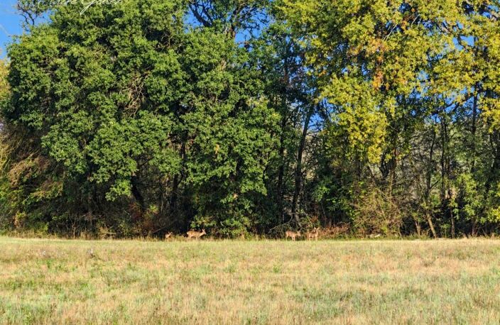 Terrain à vendre viabilisé à Ségoufielle de 704m²   (32) — photo 2