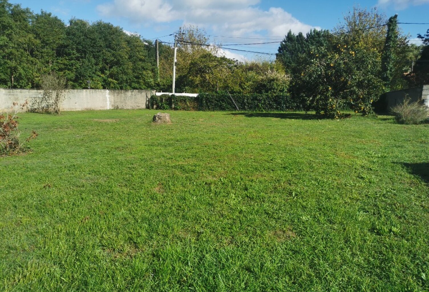 Terrain à bâtir à Landiras (33720) — photo 1