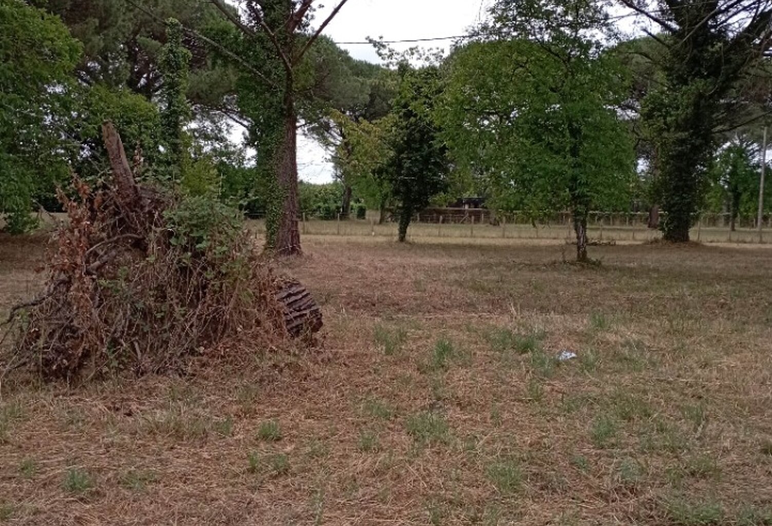 Terrain à bâtir à Saint-Maixant (33490) — photo 1