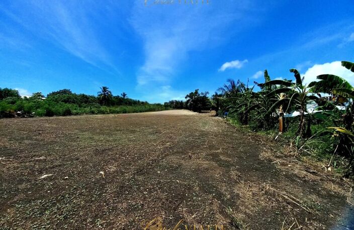 Terrain plat constructible + 2000M2, proche mer à vendre  SAINT FRANCOIS (971) — photo 2