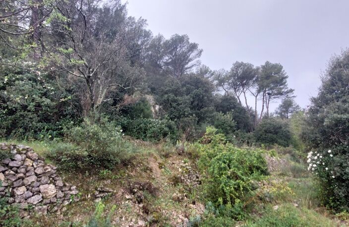SOLLIES TOUCAS (83) - MAISON A REHABILITER ENTIEREMENT SUR TERRAIN EN RESTANQUES DE 1284M² — photo 3