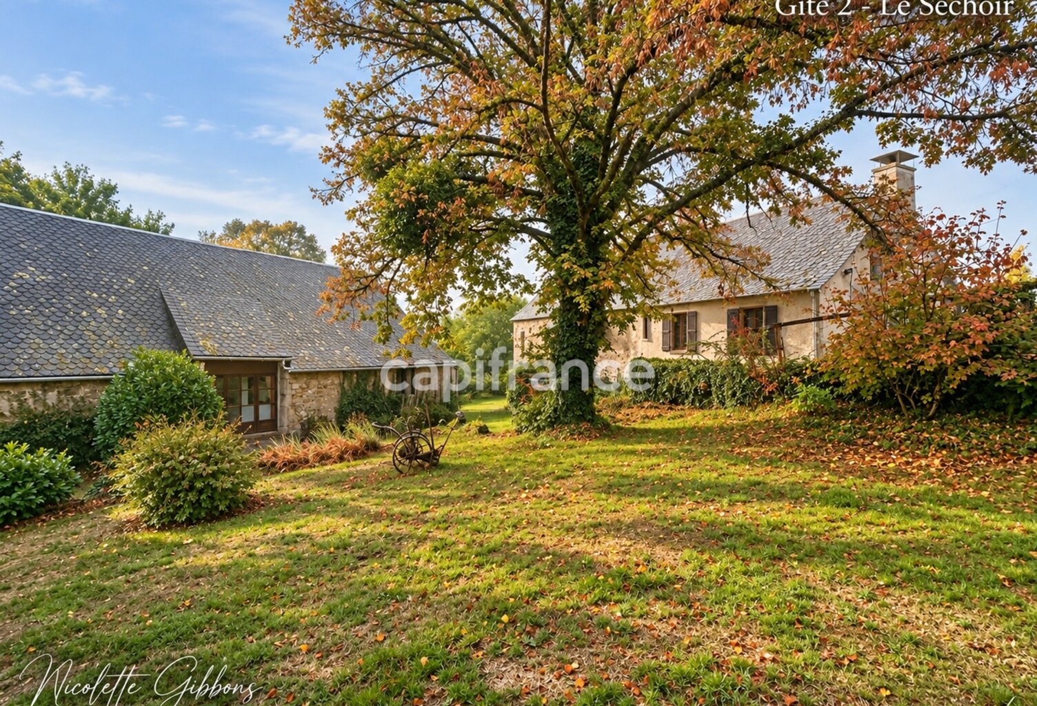 CORRÈZE – PROPRIÉTÉ SUR 6 HECTARES, SOURCE, FORET AVEC MAISON PRINCIPALE ET 4 GÎTES – VALLÉE DE LA DORDOGNE — photo 1