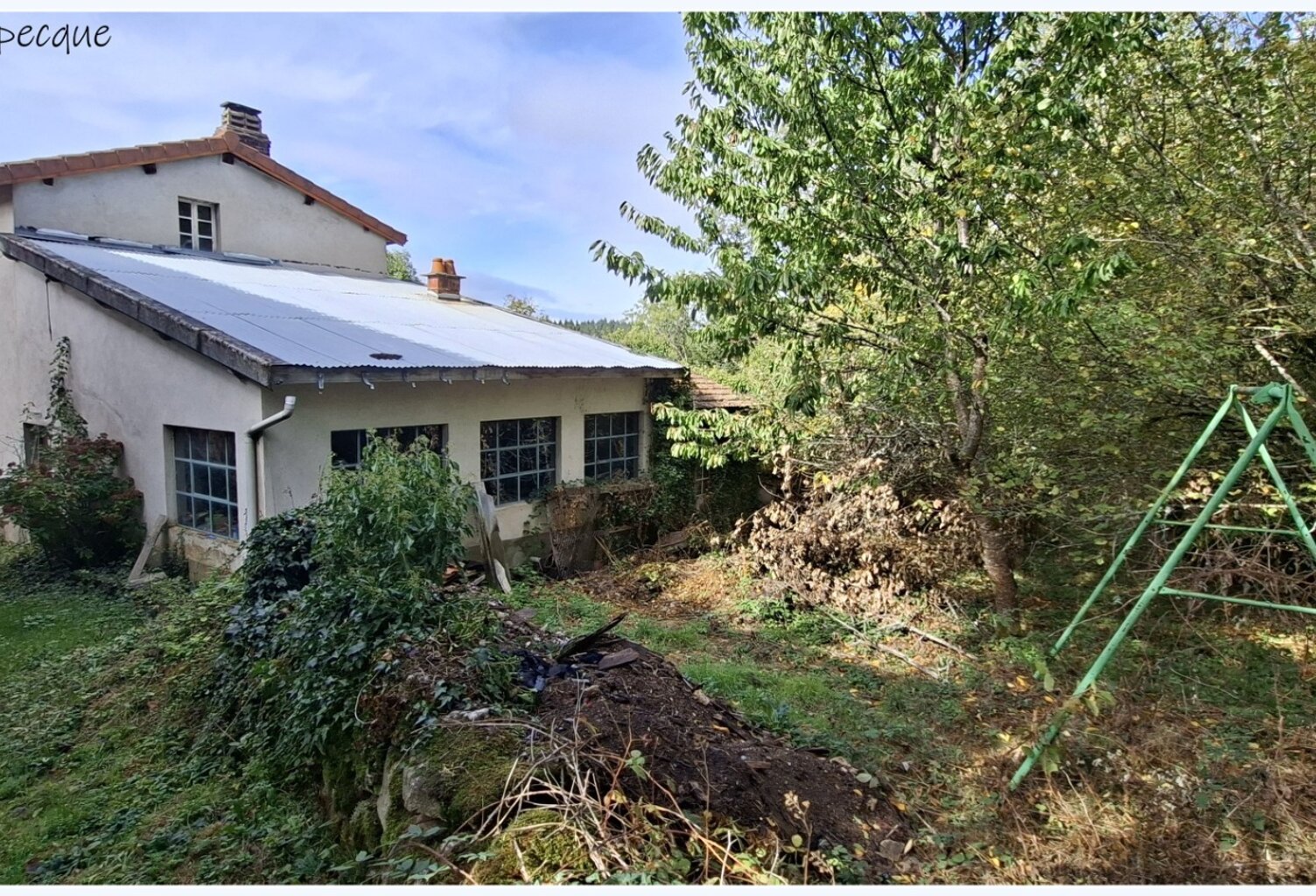 Grande maison familiale avec dépendances et terrain VISCOMTAT (63) — photo 1
