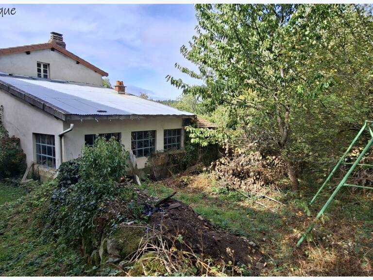 Grande maison familiale avec dépendances et terrain VISCOMTAT (63) — photo 1