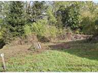 Grande maison familiale avec dépendances et terrain VISCOMTAT (63) — photo 3