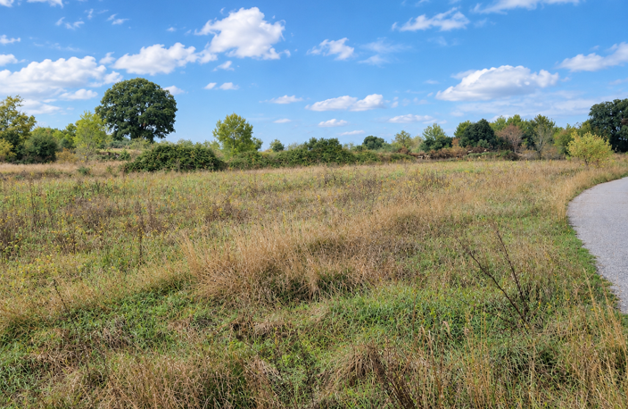 VENTE TERRAIN AGRICOLE GARRIGUES 34160 — photo 2