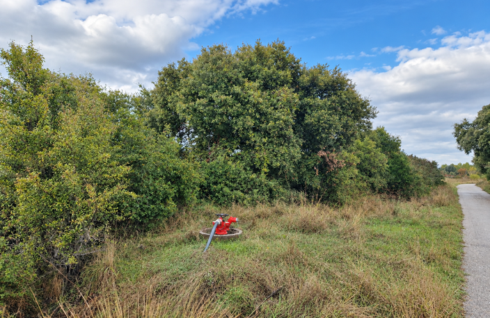 VENTE TERRAIN AGRICOLE GARRIGUES 34160 — photo 3