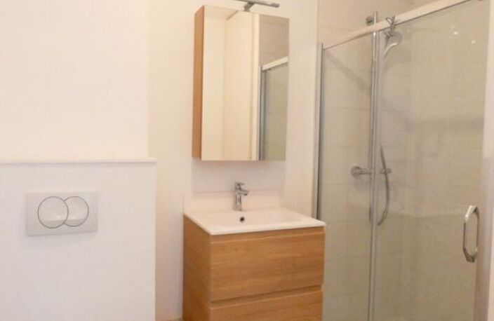 Studio meublé Lyon 4ème -29m² — photo 5