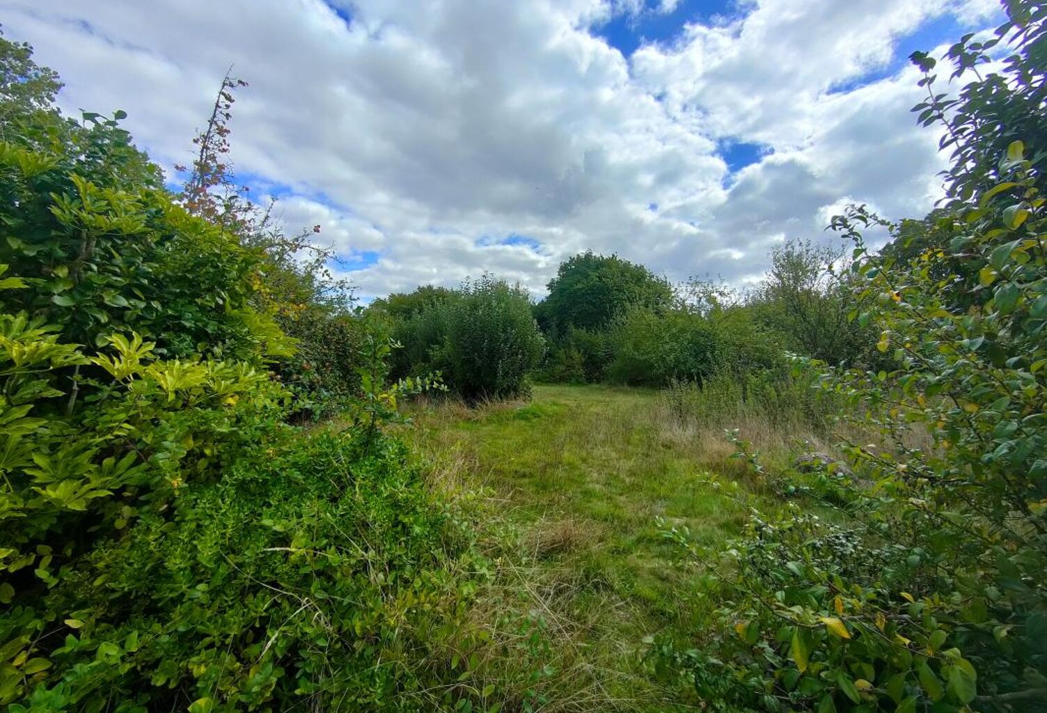 A VENDRE TERRAIN CONSTRUCTIBLE DE 2500 M²  DANS LE BOURG DE GOMMENEC'H — photo 1