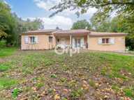 🏡 À VENDRE – MAISON DE PLAIN-PIED DE 130 M² – 4 CHAMBRES – TERRAIN DE 3 000 M² 🌳 — photo 2