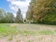 🏡 À VENDRE – MAISON DE PLAIN-PIED DE 130 M² – 4 CHAMBRES – TERRAIN DE 3 000 M² 🌳 — photo 4