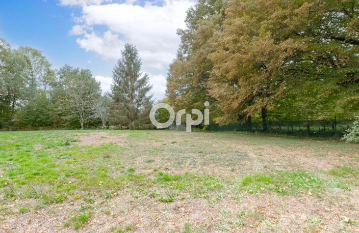 🏡 À VENDRE – MAISON DE PLAIN-PIED DE 130 M² – 4 CHAMBRES – TERRAIN DE 3 000 M² 🌳 — photo 4