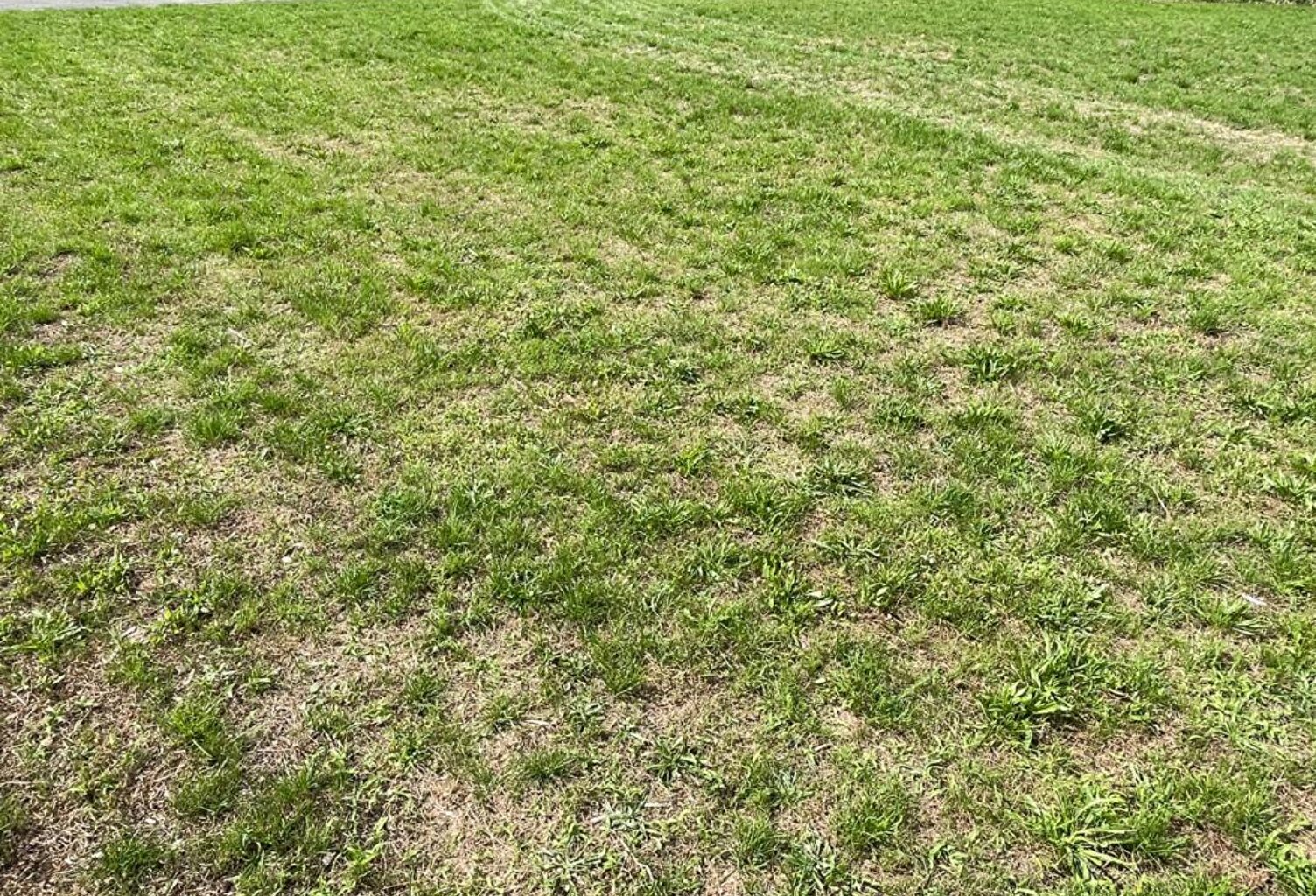 Terrain Nogent-sur-vernisson 450 m2 — photo 1