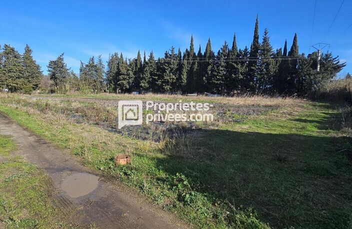 Terrain agricole de plus de 9500 m² avec forage et groupe électrogène — photo 4