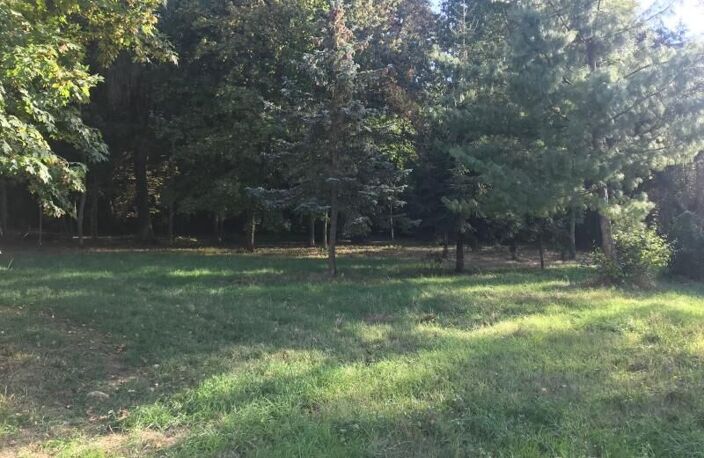 Terrain constructible 600 m2 — photo 2