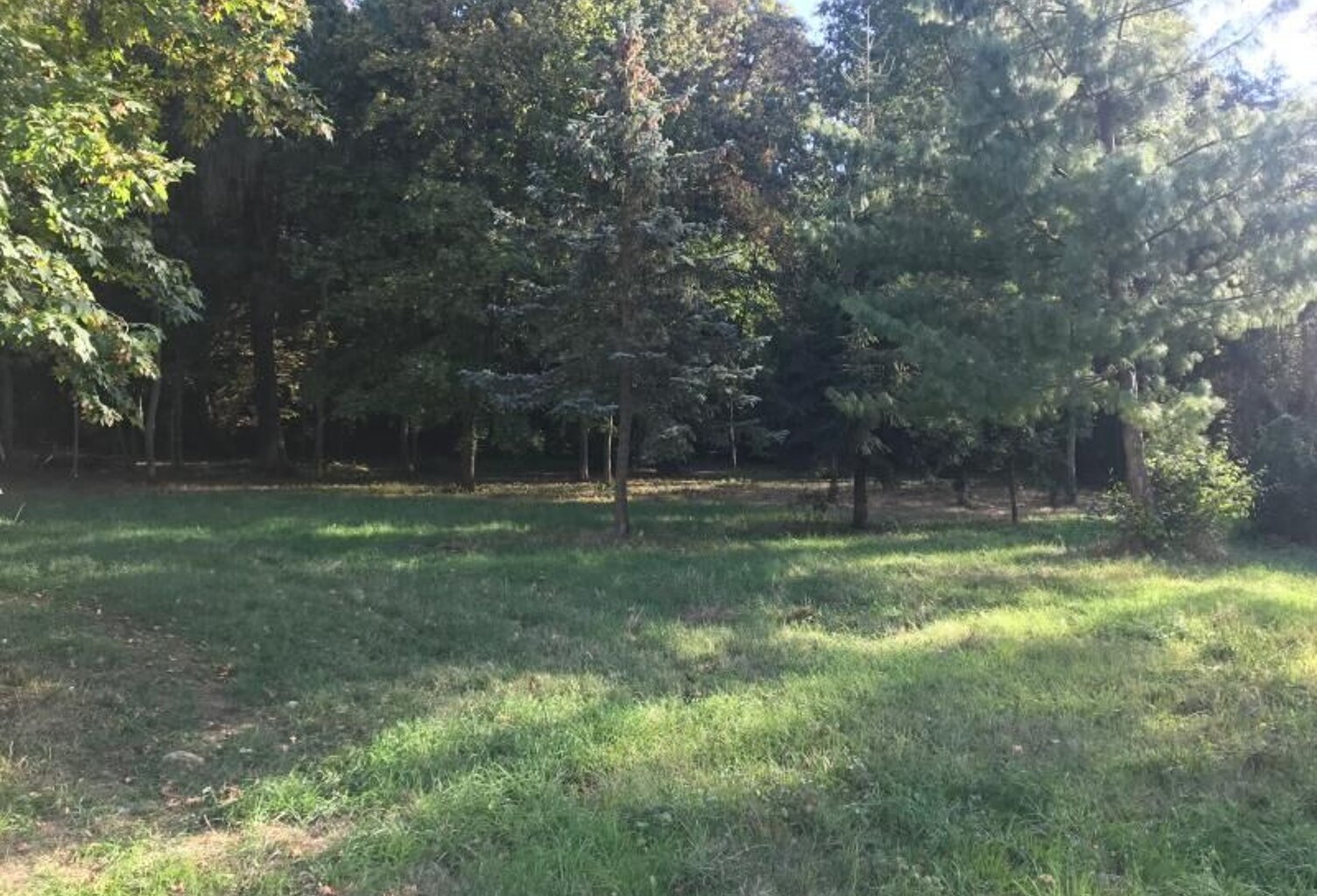Terrain à bâtir  — photo 1