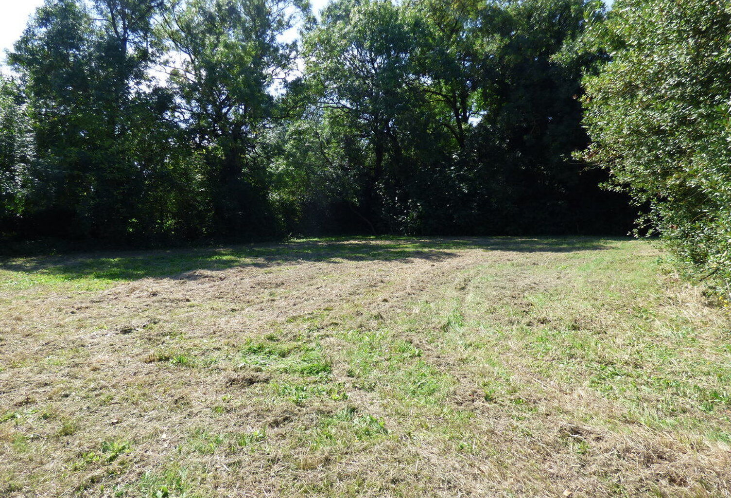 Terrain viabilisé — photo 1
