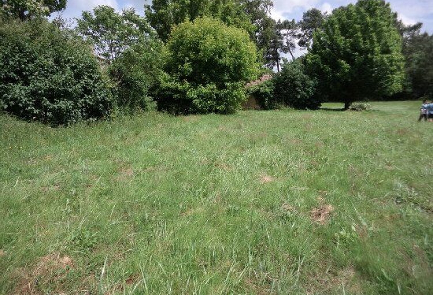 Terrain construction — photo 1