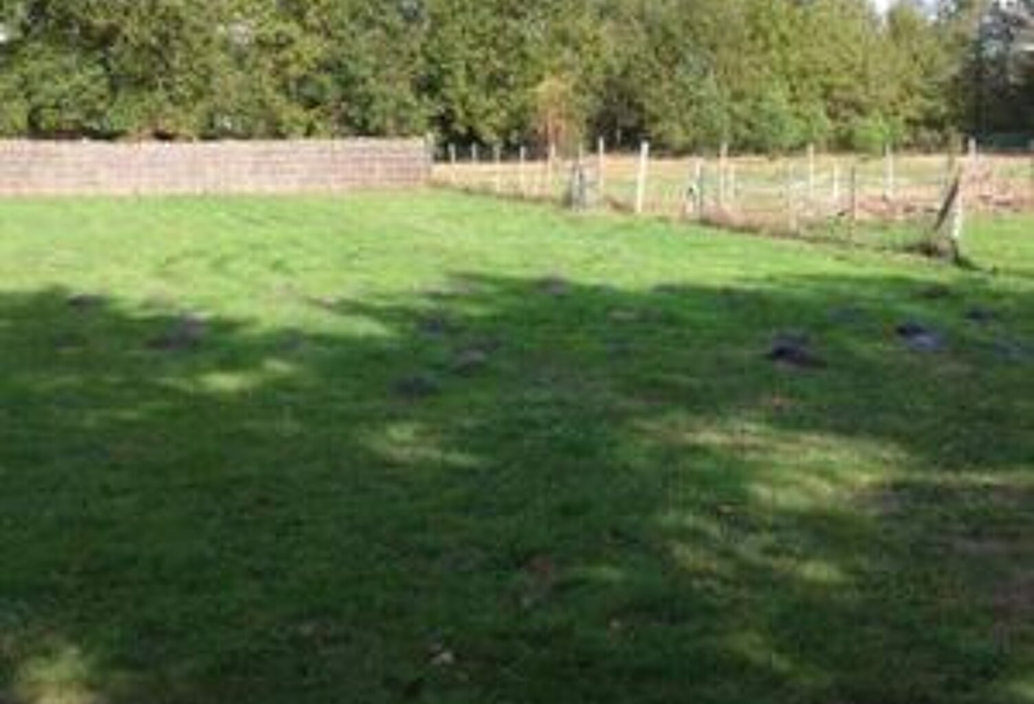 Vente terrain  1500 m² Pineuilh (33220) — photo 1