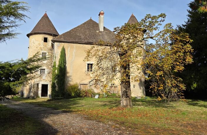 Vente Château 10 pièces — photo 2