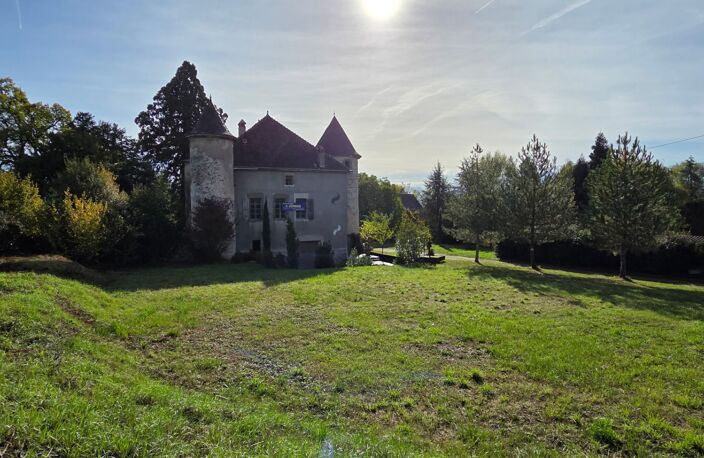 Vente Château 10 pièces — photo 3