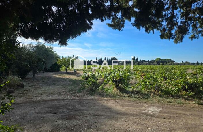 Belle maison a vendre Ste Cecile les vignes — photo 3