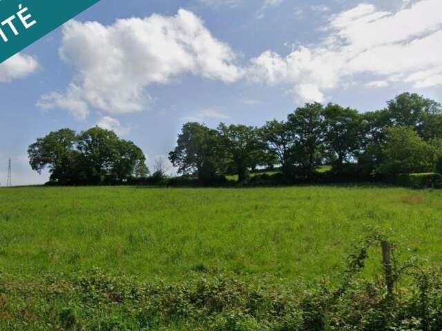 Grand terrain constructible — photo du bien