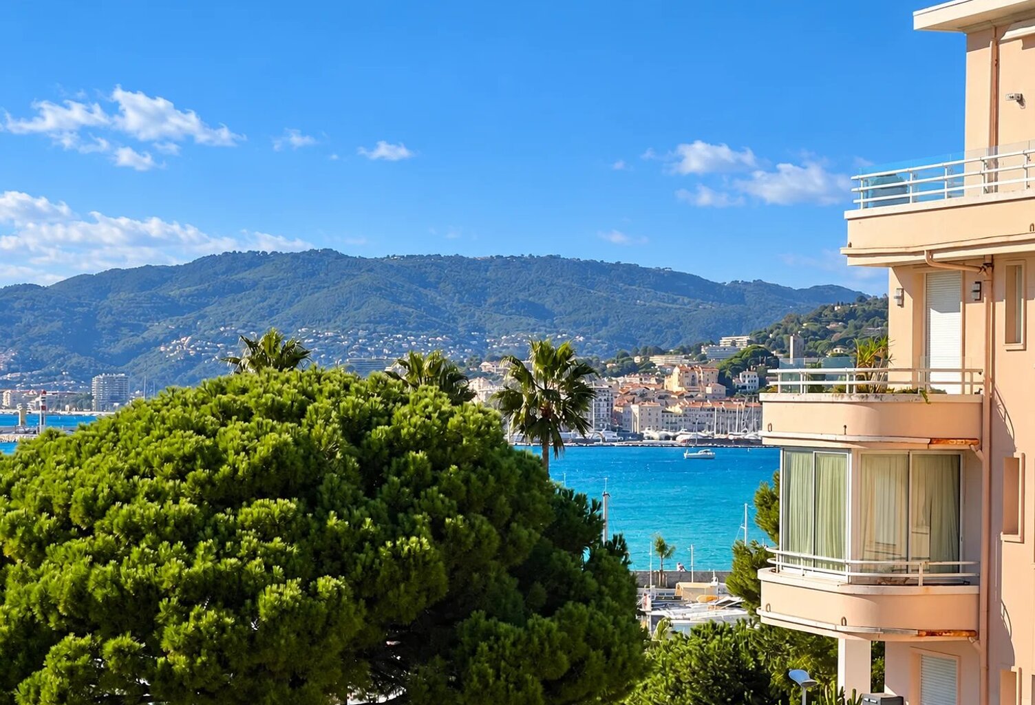 Cannes Palm Beach – Appartement 2 pièces avec terrasse, proche plages, garage possible — photo 1