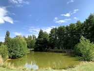 Magnifique ferme Bressane avec étang — photo 4
