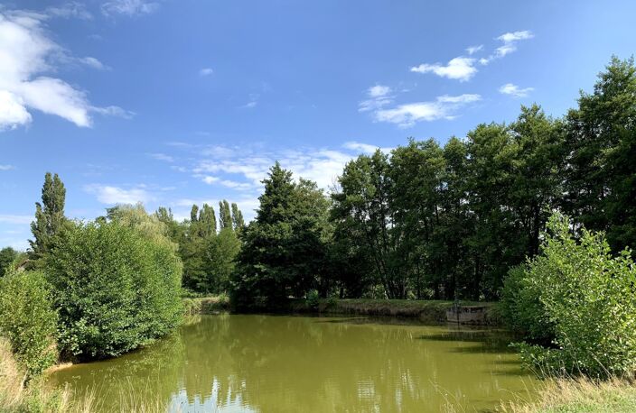 Magnifique ferme Bressane avec étang — photo 4