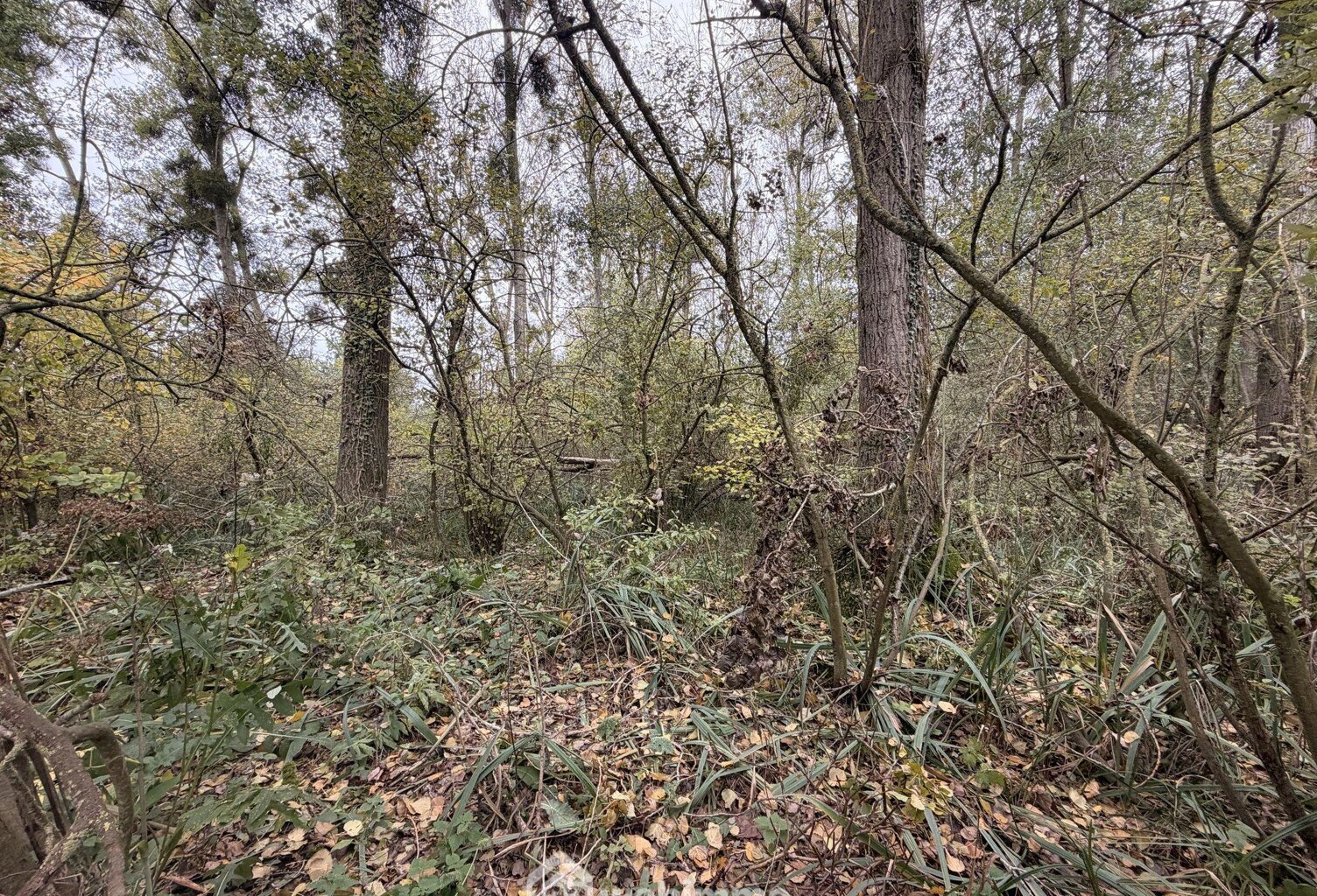 Terrain de loisirs - 5000m² - Chambry — photo 1