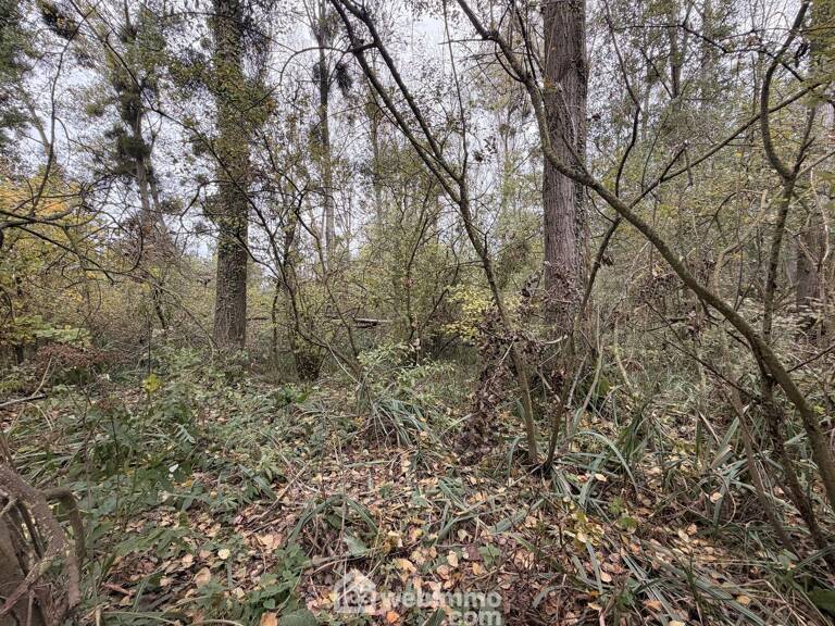 Terrain de loisirs - 5000m² - Chambry — photo 1