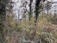 Terrain de loisirs - 5000m² - Chambry — photo 2