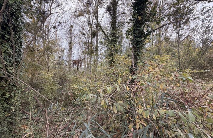 Terrain de loisirs - 5000m² - Chambry — photo 2