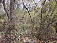 Terrain de loisirs - 5000m² - Chambry — photo 3