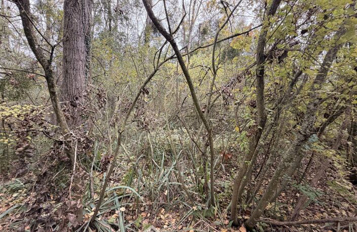 Terrain de loisirs - 5000m² - Chambry — photo 3
