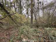 Terrain de loisirs - 5000m² - Chambry — photo 4