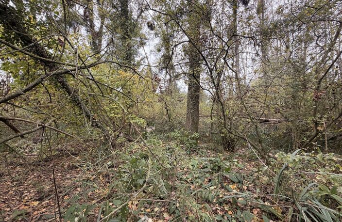 Terrain de loisirs - 5000m² - Chambry — photo 4