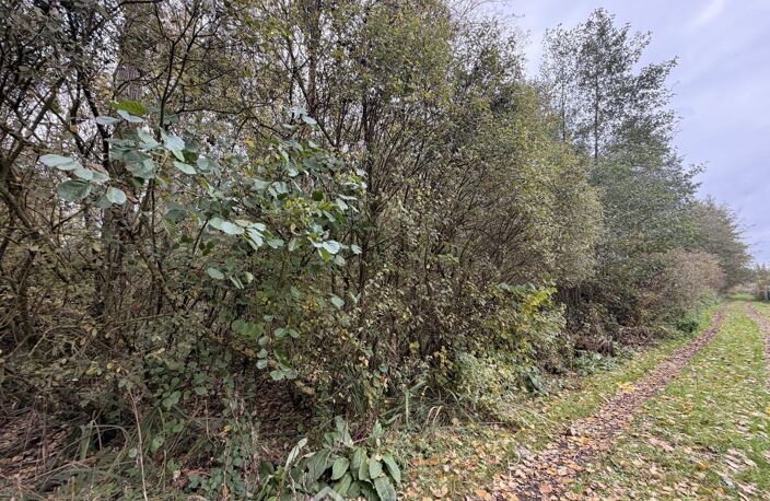 Terrain de loisirs - 5000m² - Chambry — photo 5
