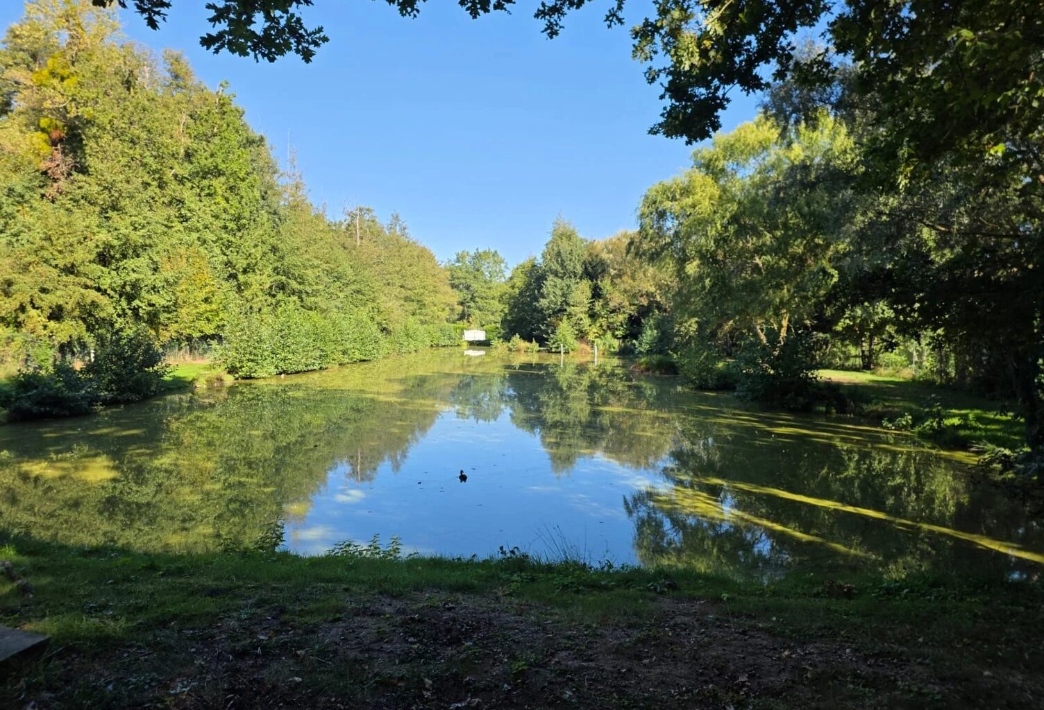 Étangs à vendre à Laniscourt — photo 1