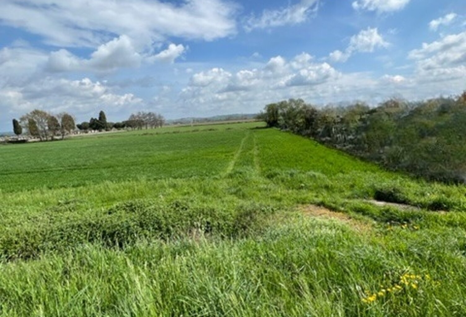 Vente Terrain 1 177 m&sup2; — photo 1
