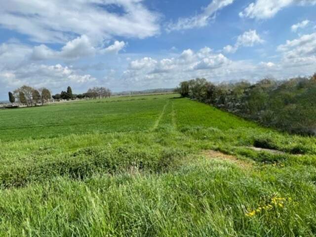Vente Terrain 1 177 m&sup2; — photo du bien