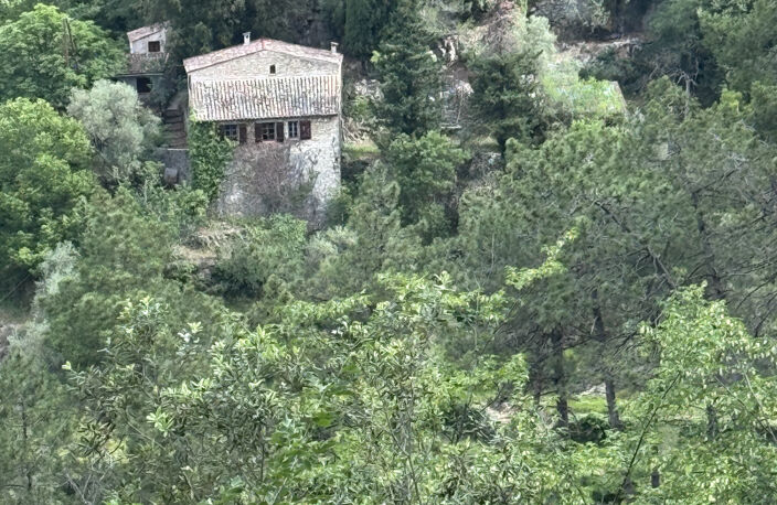 Maison atypique en pleine nature — photo 5