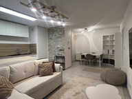 grand T2 meublé avec jardin + garage — photo 3