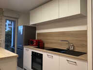 grand T2 meublé avec jardin + garage — photo 4