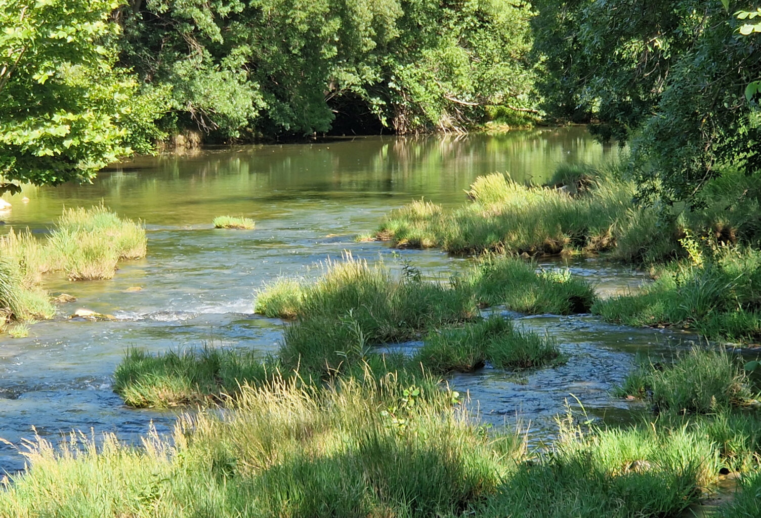 VENTE TERRAIN AGRICOLE SARDAN — photo 1