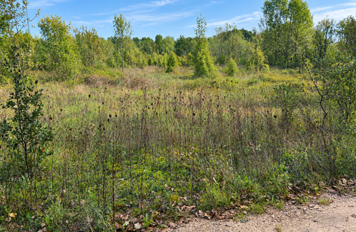 VENTE TERRAIN AGRICOLE SARDAN — photo 2