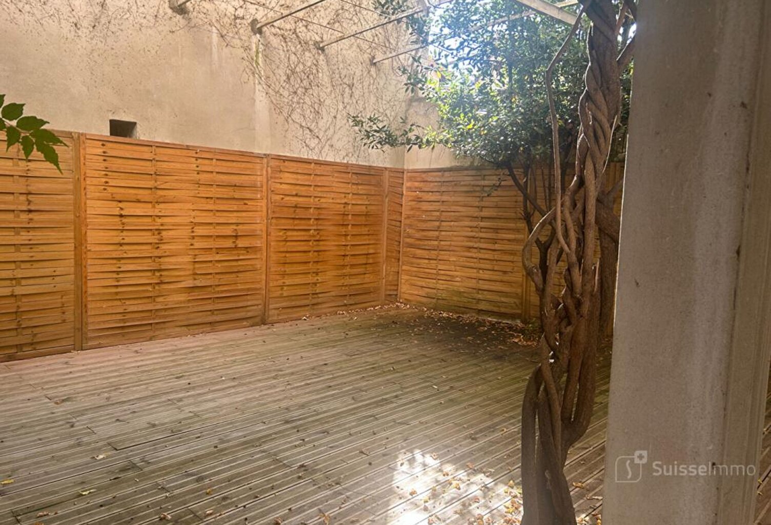 plateau à aménager — photo 1