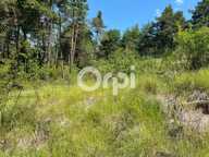OPPORTUNITE RARE - TERRAIN DE 1 500 M2 AVEC 300 M2 DE POTENTIEL CONSTRUCTIBLE — photo 2