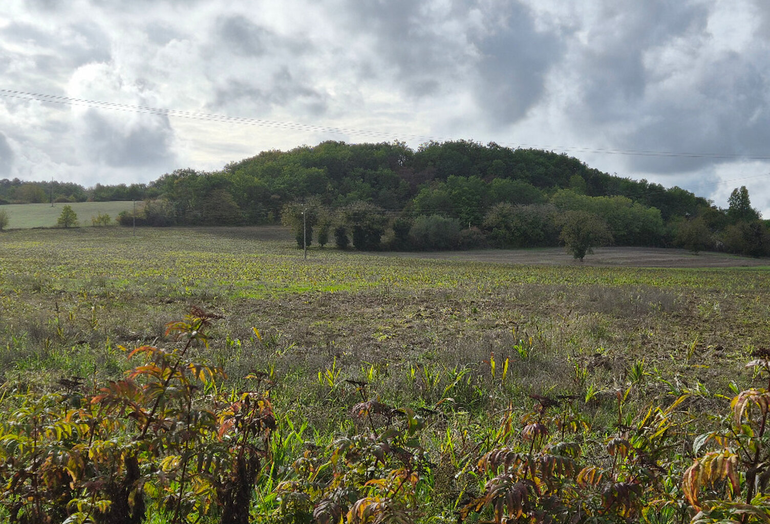 Terrain à bâtir à Parcoul-Chenaud (24410) — photo 1